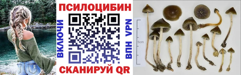 Псилоцибиновые грибы Magic Shrooms Иркутск